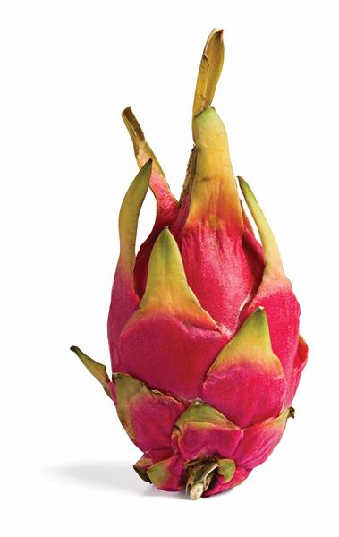 White Dragon Fruit, 1 ct - Foods Co.