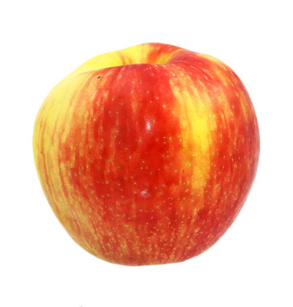 Limited! Honeycrisp Apple Chips *Online Exclusive* — Sisters Fruit