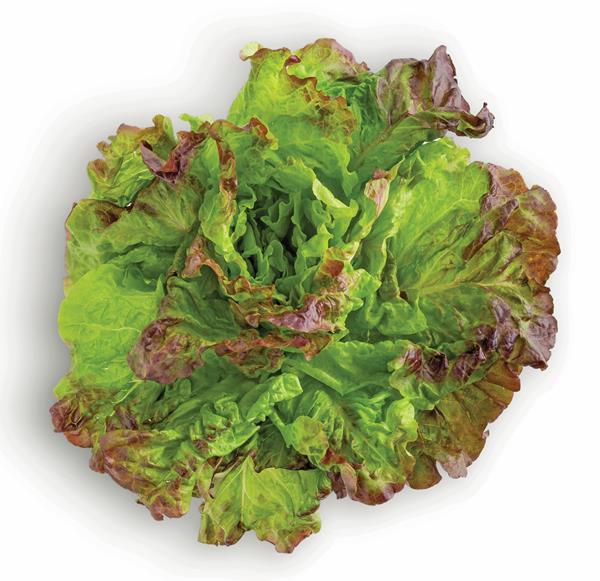 HyVee Aisles Online Grocery Shopping