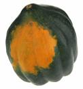 Acorn Squash