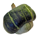 Buttercup Squash