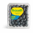 Driscolls Blueberries