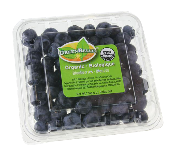 Fresh Organic Jumbo Blueberries, 6 oz