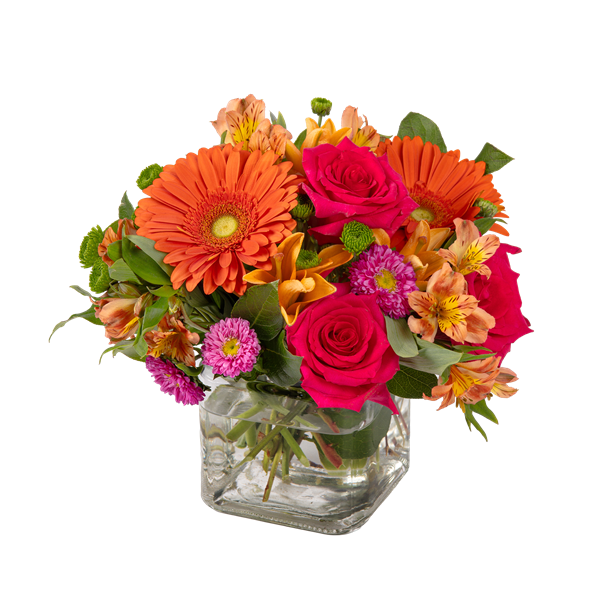 花 udontondon Tropical Tango Flower Arrangement | Hy-Vee Aisles Online Grocery