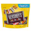 HERSHEY'S Miniatures Assorted Chocolate Candy Family Pack