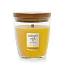 Nature's Wick by WoodWick Honey Mandarin Scented Medium Jar Candle