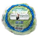 Josie's Organics Iceberg Lettuce