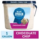 Blue Ribbon Classics Chocolate Chip Reduced Fat Frozen Dessert Pail