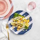Hy-Vee Seasons Striped Dinner Plate in Blue