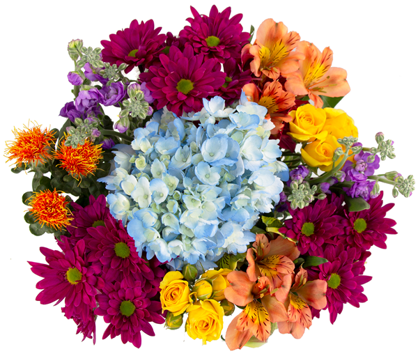 HyVee Aisles Online Grocery Shopping