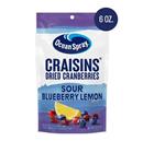 OceanSpray Craisins Dried Cranberries Sour Blueberry Lemon Flavored