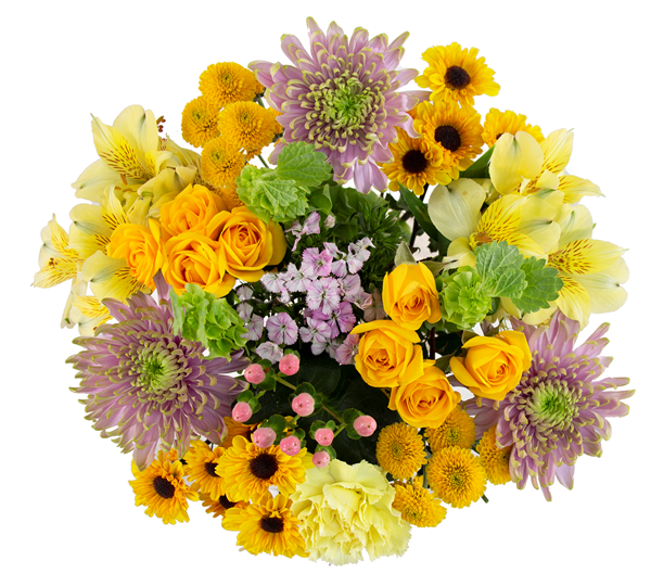 HyVee Aisles Online Grocery Shopping