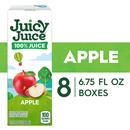 Juicy Juice 100% Juice, Apple Juice, 8 Count