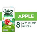 Juicy Juice 100% Juice, Apple, 8 Count