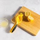 OXO SoftWorks Citrus Squeezer