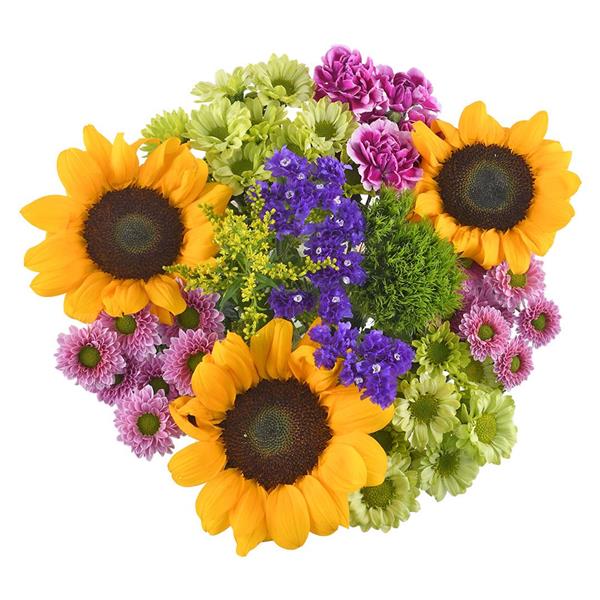 HyVee Aisles Online Grocery Shopping